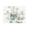 Trademark Fine Art - Danhui Nai 'Eucalyptus III White' Wood Slat Art - 2 of 4