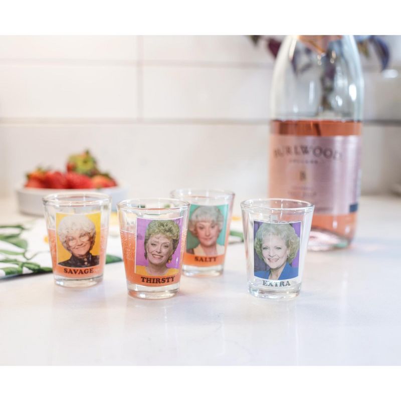 Silver Buffalo The Golden Girls "Thirsty Salty Extra Savage" 1.5-Ounce Mini Glasses | Set Of 4, 5 of 7