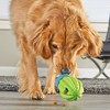 Brightkins Cactus Surprise Treat Dog Toy Dispenser - 4 of 4