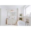 Elegant Lighting Hanson 3 lights bath sconce in brass with frosted shade - 2 of 4