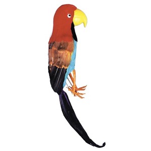 Pirate Parrot - 1 of 1