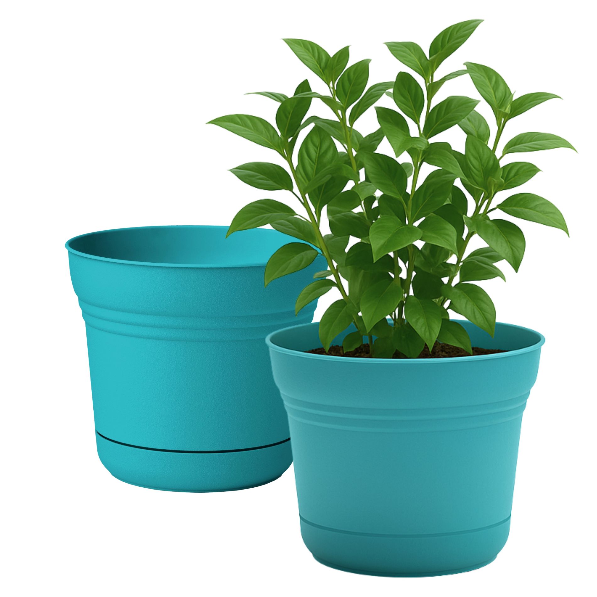 Bloem Saturn Plastic Planter with Saucer