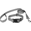 Country Brook Petz Deluxe Nylon Dog Collar and Leash - 2 of 4