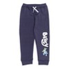 Bluey Fleece Pullover Hoodie and Pants Outfit Set Little Kid - 4 of 4