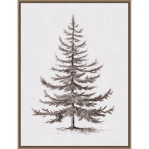 Amanti Art Vintage Evergreen Fir Tree lllustration II by The Creative Bunch Studio Canvas Art Framed - 1 of 4