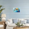 Stupell Industries Graceful Swimmer Tortoise Framed Giclee Art, White, 18" x 12" - 3 of 4