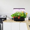 EAGLE PEAK 15 Pods Hydroponics Growing System with WiFi, 5.5 L Water Tank, Smart Plants Germination Kit with LED Grow Light, Black - 2 of 4