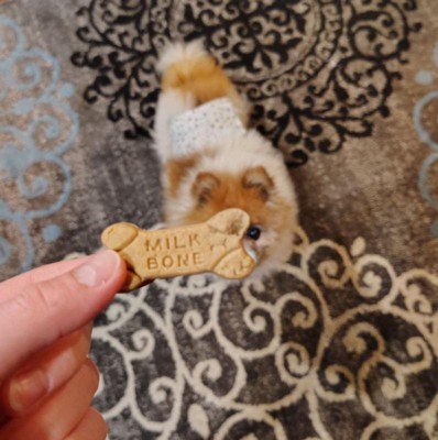 Guest review image 1 of 2, zoom in