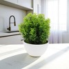 Unique Bargains Artificial Plants Frosted Pine Topiary Plastic 2.17"x2.17"x6.69" 1 Pc - 2 of 4