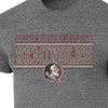 NCAA Florida State Seminoles Men's Gray Tri-Blend T-Shirt - 3 of 3