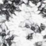 ivory/grey