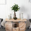 HomeStock  2 ft. Artificial Ficus Tree in Planter for Indoor/Outdoor - 4 of 4