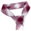 Men's Checkered 2.75 Inch Wide And 57 Inch Long 100% Cotton Neckties - 4 of 4