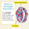 Country Brook Petz HossFit Jr Wide Martingale Dog Collar - Spring Collection - 4 of 4