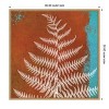 Amanti Art Fern Abstract Study II by Dianne Poinski Framed Canvas Wall Art - 4 of 4