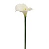 Floral Home 26" Cream Calla Lily - 24-Piece - 2 of 2