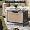 23.6'' Rattan Storage Bench with Seat Cushion for Entryway, Living Room, Bedroom, Black - 3 of 4
