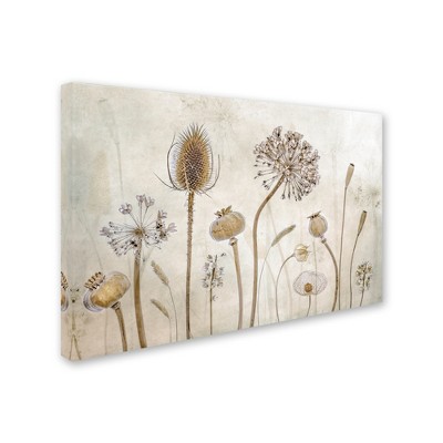 Trademark Fine Art -Mandy Disher 'Growing Old' Canvas Art
