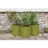 Tierra Garden Vigoroot Pots 3pk - 3 of 4