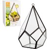 D'Eco Glass Geometric Plant Terrarium (5.7x5.7x7) - Indoor Tabletop & Hanging Teardrop Planter Holiday Decor - Christmas Gift for Plant Lovers - 2 of 3