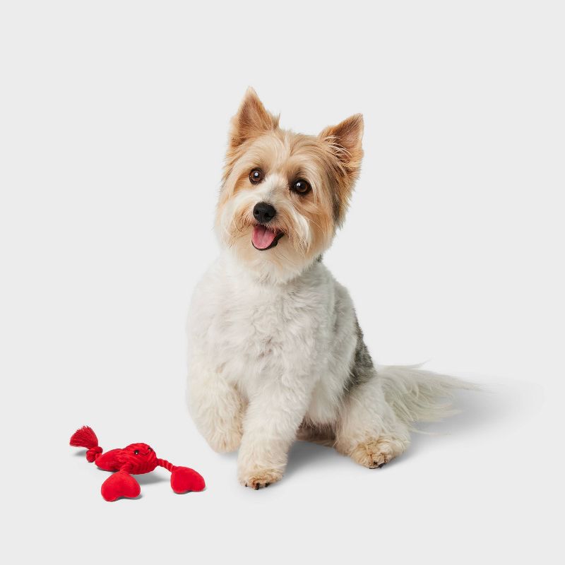 10&#34; Valentines Rope &#38; Lobster Plush Dog Toy - Boots &#38; Barkley&#8482;, 3 of 5