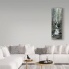 Trademark Fine Art -Jeff Tift 'Cascade Wolves' Canvas Art - 3 of 3