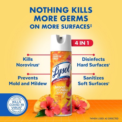 Lysol Brand New Day Mango & Hibiscus Disinfectant Spray - 19oz