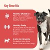 Nutrish Gentle Digestion with Pumpkin, Salmon & Chicken Wet Dog Food - 13oz - 4 of 4
