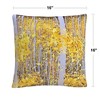 Decorative Throw Pillow_5 by Trademark Fine Art - 4 of 4