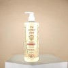 The Potted Plant Hemp Pineapple Citrus Body Lotion - 16.9oz - Grown to Glow: Hemp-Enriched Moisture with a Tropical Twist - 3 of 4