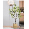 4.6FT Artificial Osmanthus Tree with Adjustable stems, Realistic Fake Bonsai Plant in Sturdy Pot for Office, Home & Housewarming Decor - 4 of 4
