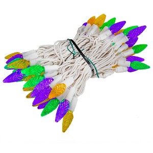 Novelty Lights C6 LED Christmas String Lights 70 Strawberry Bulbs (Green Wire, 24 Feet) - 1 of 4
