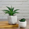Northlight Artificial Potted Aloe Succulent in Cement Pot - 6" - 2 of 3