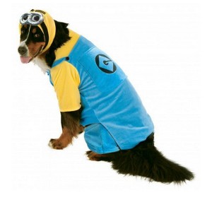 Rubies Big Dogs Minion Pet Costume - 1 of 2