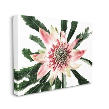 Stupell Industries Bright Close Up Flower Anther Pink White Photograph