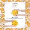 Spongentle Dual-Sided Body Sponge Loofah, Ultra Soft & Exfoliating for Gentle Daily Shower Use - 4 of 4