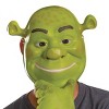NBCUniversal Shrek Unisex Costume Accessories Kit 8+ Green - 3 of 4