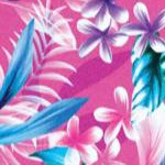 doll pink hawaiian