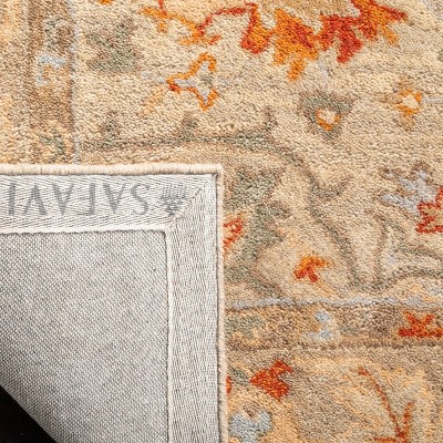 Antiquity Beige and Gray Wool Tufted Area Rug