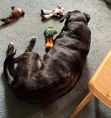 Guest review image 1 of 1, zoom in