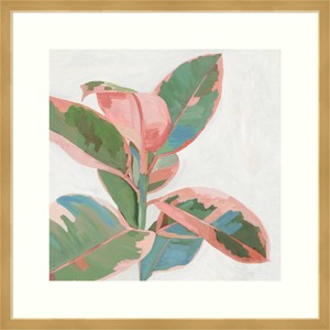21" x 21" Ficus I by Asia Jensen Framed Wall Art Print Pink - Amanti Art: Modern Hardwood Frame, Botanical Lithograph - 1 of 4