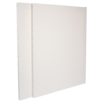 Discovery Economy Stretched Canvas, 20"x24" - 2pk