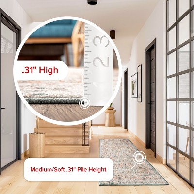 Lenore Beige and Multicolor Vintage Floral 3' x 5' Area Rug