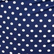 navy pin dot