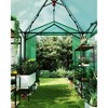 Pop Up Greenhouse,Portable Walk-in Indoor Outdoor Greenhouse for Garden Patio Backyard,Zippered Doors and Window,PE Cover - 3 of 4