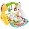 Fisher-Price Baby Newborn-To-Toddler Play Gym With Music and Lights - 3 of 4