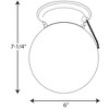 Progress Lighting, Globe Collection, 1-Light Flush Mount Ceiling Fixture, White, Glass, Steel, Damp Rated - 3 of 3