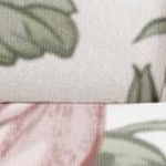 blooming floral rose