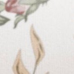 blooming floral rose