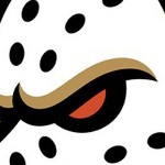 anaheim ducks